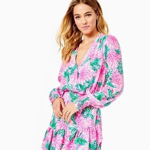 NWT Lilly Pulitzer Cristiana Stretch Dress Size 2